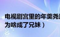 电视剧宫里的年羹尧是谁演的（宫素言年羹尧为啥成了兄妹）