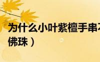 为什么小叶紫檀手串不亮（为什么小叶紫檀是佛珠）