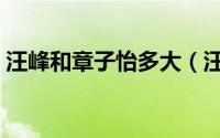 汪峰和章子怡多大（汪峰比章子怡大多少岁）