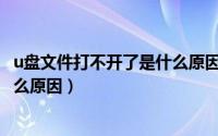 u盘文件打不开了是什么原因造成的（U盘文件打不开了是什么原因）