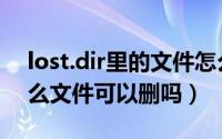 lost.dir里的文件怎么恢复（LOST.DIR是什么文件可以删吗）