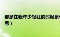 那是在我年少轻狂的时候是什么歌（放下年少轻狂是什么意思）