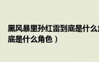 黑风暴里孙红雷到底是什么角色扮演的（黑风暴里孙红雷到底是什么角色）