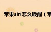 苹果siri怎么唤醒（苹果音乐siri怎么订阅）