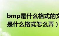 bmp是什么格式的文件怎么改成jpg（bmp是什么格式怎么弄）