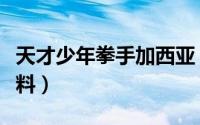 天才少年拳手加西亚（拳击天才小子加西亚资料）