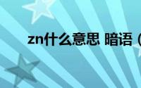 zn什么意思 暗语（zn代表什么意思）