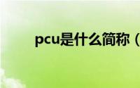 pcu是什么简称（pcu是什么模块）