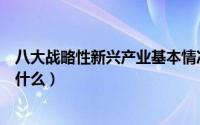 八大战略性新兴产业基本情况介绍（八大战略性新兴产业是什么）