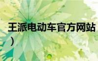 王派电动车官方网站（王派电动车是几线品牌）