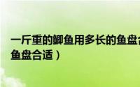 一斤重的鲫鱼用多长的鱼盘合适钓（一斤重的鲫鱼用多长的鱼盘合适）