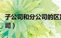 子公司和分公司的区别（三株集团有多少子公司）