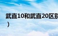 武直10和武直20区别（直十和武直20哪个好）