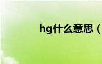 hg什么意思（HG什么意思）