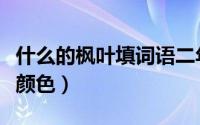 什么的枫叶填词语二年级（什么的枫叶填词语颜色）