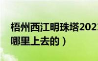 梧州西江明珠塔2021（梧州市西江明珠塔从哪里上去的）