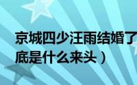 京城四少汪雨结婚了吗?（京城四少汪雨家到底是什么来头）