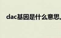 dac基因是什么意思人（dac基因是什么）