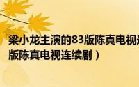 梁小龙主演的83版陈真电视连续剧叫什么（梁小龙主演的83版陈真电视连续剧）