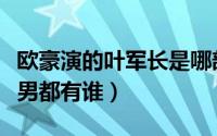 欧豪演的叶军长是哪部电影（跟欧豪一届的快男都有谁）