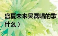 盛夏未来吴磊唱的歌（盛夏未来吴磊放的歌是什么）