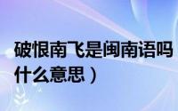 破恨南飞是闽南语吗（破恨南飞这首歌到底是什么意思）