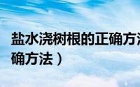 盐水浇树根的正确方法视频（盐水浇树根的正确方法）