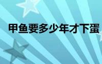 甲鱼要多少年才下蛋（甲鱼长多大才生蛋）