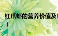 红爪虾的营养价值及功效（红爪对虾家常做法）