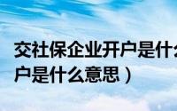 交社保企业开户是什么意思呀（交社保企业开户是什么意思）