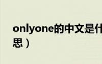 onlyone的中文是什么（onlyone的中文意思）