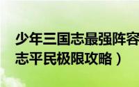 少年三国志最强阵容一览表（2021少年三国志平民极限攻略）