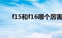 f15和f16哪个厉害（F15与F16比较）