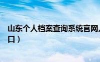 山东个人档案查询系统官网入口（个人档案查询系统官网入口）