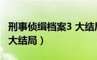 刑事侦缉档案3 大结局（刑事侦缉档案第三部大结局）