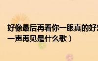 好像最后再看你一眼真的好想说一声再见是什么歌（好想说一声再见是什么歌）