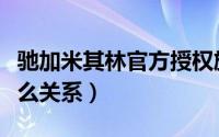 驰加米其林官方授权旗舰店（驰加和米其林什么关系）