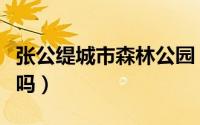 张公缇城市森林公园（张公堤森林公园要门票吗）