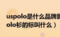 uspolo是什么品牌属于什么档次 知乎（uspolo衫的标叫什么）