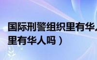 国际刑警组织里有华人吗知乎（国际刑警组织里有华人吗）