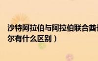 沙特阿拉伯与阿拉伯联合酋长国的区别（沙特阿拉伯和卡塔尔有什么区别）