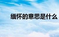 缅怀的意思是什么（缅怀之情的意思）