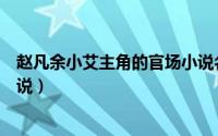 赵凡余小艾主角的官场小说名字（赵凡余小艾主角的官场小说）