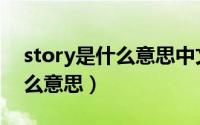 story是什么意思中文翻译（story中文是什么意思）