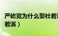 严屹宽为什么娶杜若溪呢（严屹宽为什么娶杜若溪）