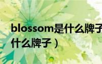 blossom是什么牌子的化妆品（blossom是什么牌子）