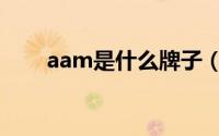 aam是什么牌子（aam是什么公司）