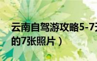 云南自驾游攻略5-7天（绿豆发芽1-7天过程的7张照片）