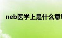 neb医学上是什么意思（neb蛋白是什么）