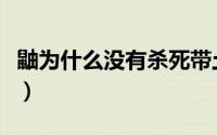 鼬为什么没有杀死带土（鼬为什么不干掉佩恩）